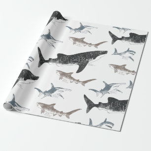 Cadeau Papier d'enlèvement de requin
