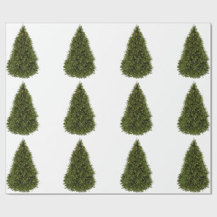 Cadeau Papier d'enveloppement d'arbre de Noël
