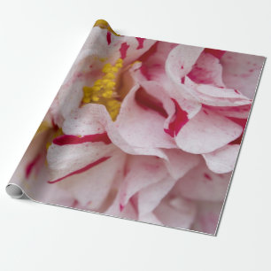 Cadeau Papier d'enveloppement de Camellia rayé bonbon