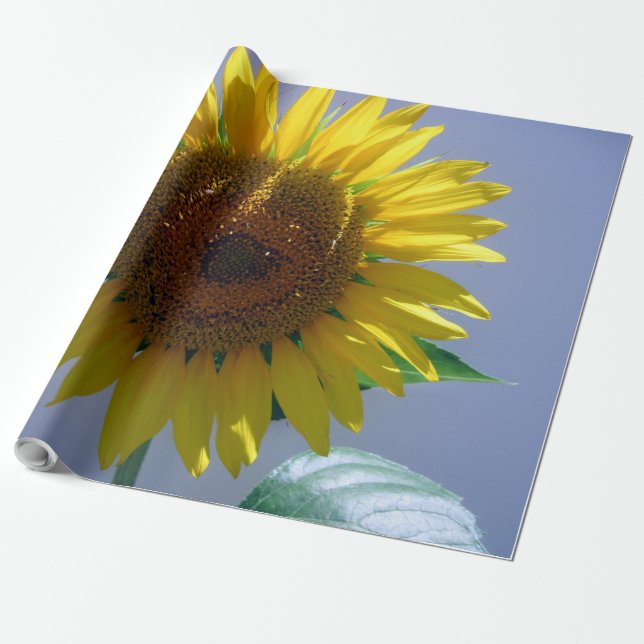 Cadeau Papier d'enveloppement de lin de tournesol (Déroulé)
