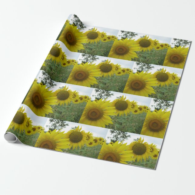 Cadeau Papier d'enveloppement de matte de tournesol (Déroulé)