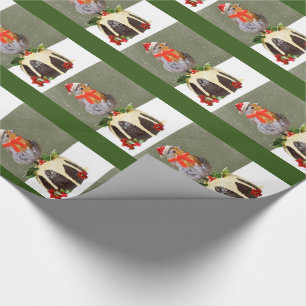 Cadeau Papier d'enveloppement de Noël Robin rouillé