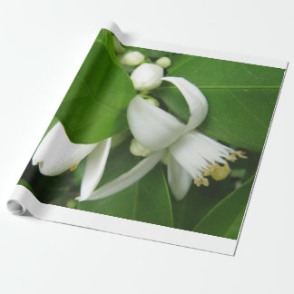 Cadeau Papier d'enveloppement en fleurs orange