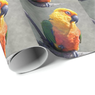 Cadeau Papier d'enveloppement Jenday Conure