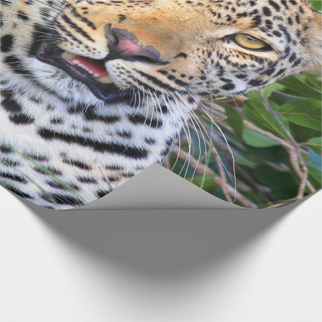 Cadeau Papier d'enveloppement Leopard 6 (Coin)