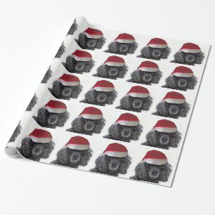 Cadeau Papier enveloppant de caniche de Noël