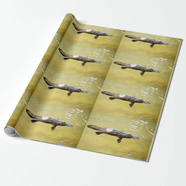 CADEAU PAPIER PLATYPUS AUSTRALIA (Déroulé)