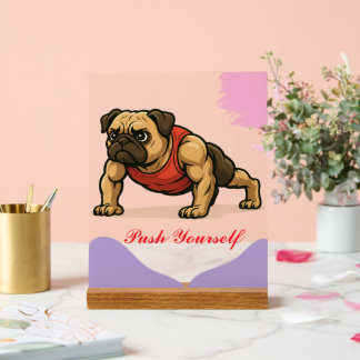 "Cadeau parfait pour les amateurs de gym et les Am