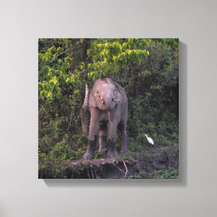 Cadeau pour amateur d'éléphants  Toile tendue arti