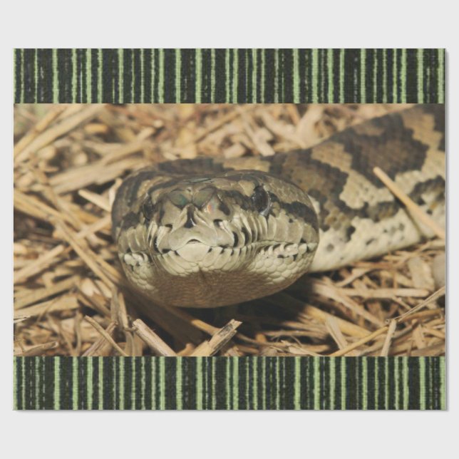 Cadeau Serpent de papier à envelopper brillant (Plat)