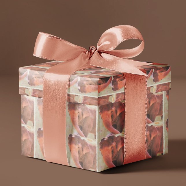 Cadeau Temps De Jeu Pour Papier À Emballage D'Éléphant (Créateur téléchargé)
