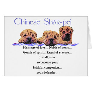 Cadeaux chinois Shar-pei