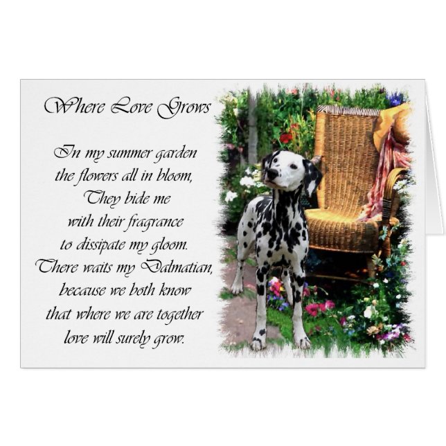 Cadeaux d'art dalmate (Devant horizontal)