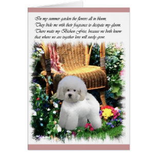 Cadeaux d'art de Bichon Frise