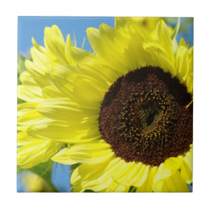 Cadeaux d'art de carreaux de tournesols Jaune Flor