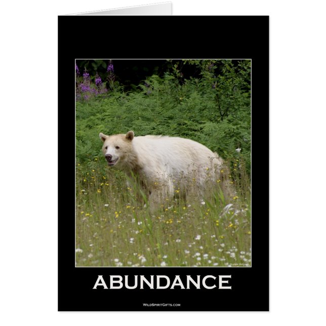 Cadeaux d'ours d'esprit (Devant)