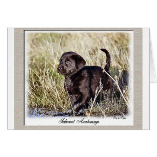 Cadeaux du Labrador Retriever
