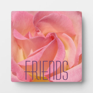 Cadeaux FRIENDS Plaques de fleurs de rose rose
