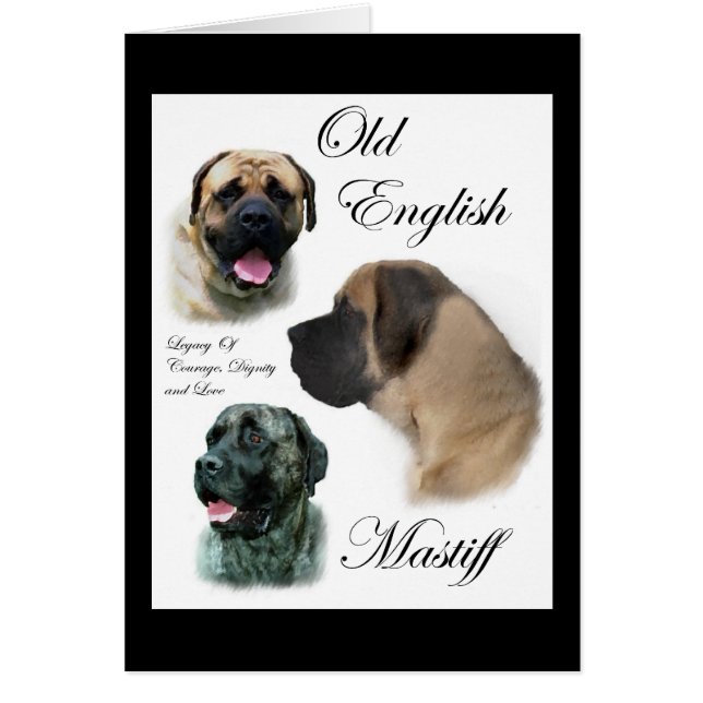 Cadeaux Mastiff anglais anciens (Devant)