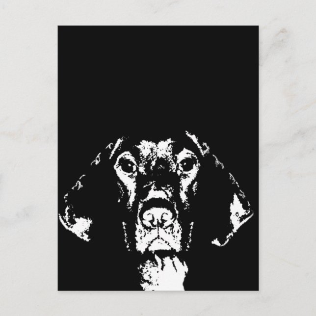 Cadeaux Pointer - Carte Postale (Devant)