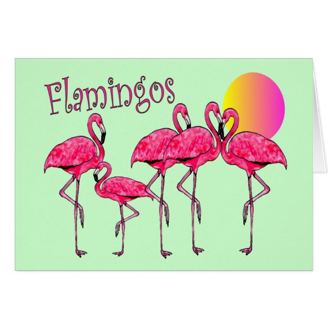 Cadeaux tropicaux d'art de Flamant rose (Devant horizontal)