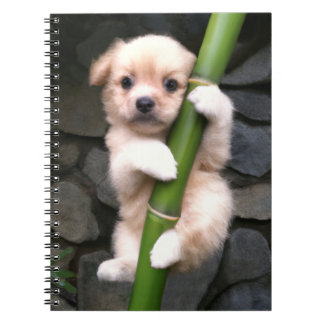 Caderno Espiral Gaejook 개죽이 Notebook