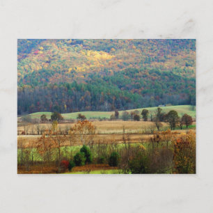 Cades Cove Autumn - Great Smoky Mountains Postcard