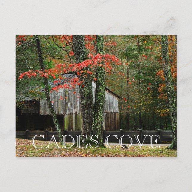 Cades Cove - Autumn in the Smokies Postcard (Front)