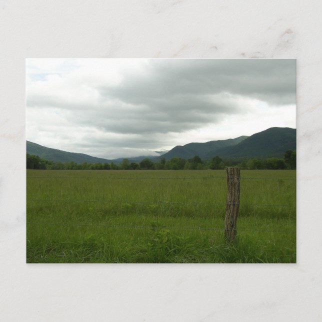 Cades Cove, Great Smoky Mountains NP Postcard (Front)