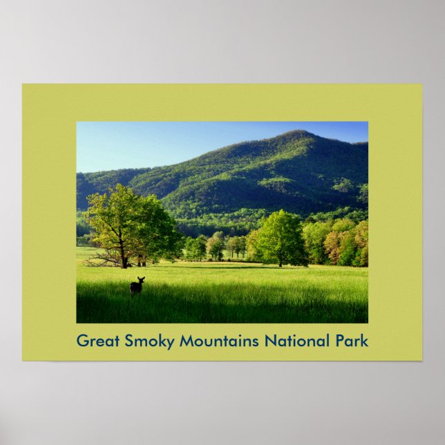 Cade's Cove Photo Greeting Card Poster (Front)