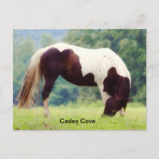Cades Cove postcard