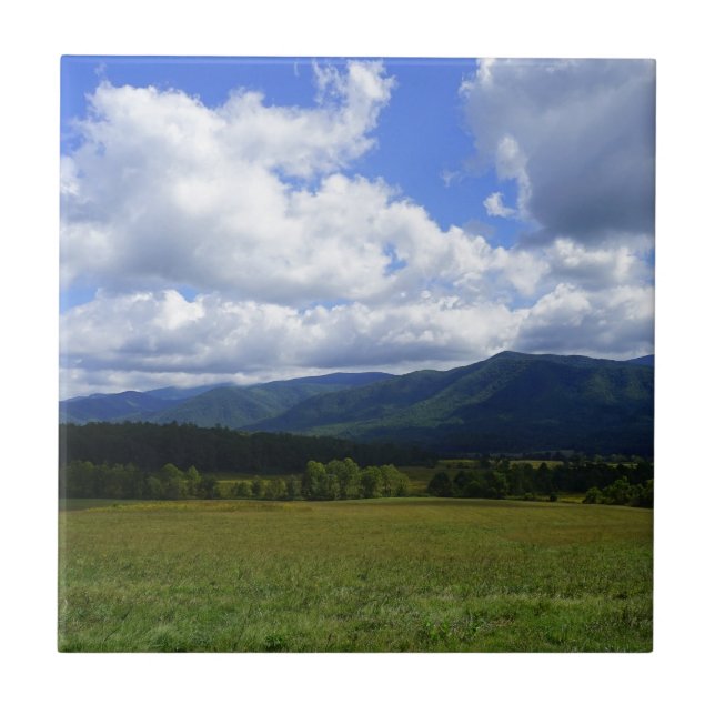Cades Cove Tile (Front)