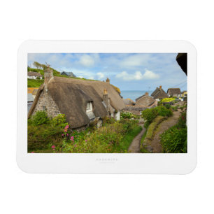 Cadgwith Magnet