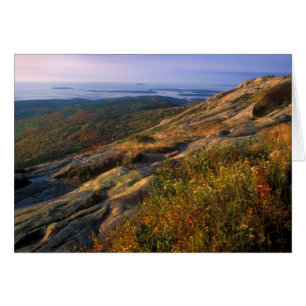 Cadillac Mountain Acadia National Park