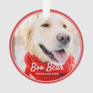 Cadres modernes Pet Memorial Photo simple