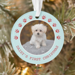 Cadres photo de chien mignon Empreintes de pattes 
