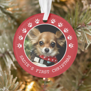 Cadres photo de chien rouge mignon Empreintes de p