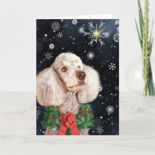 Cafe au Lait Coloured Poodle with Snowflakes Holiday Card