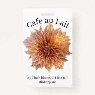 Cafe au Lait Dahlia ID Badge