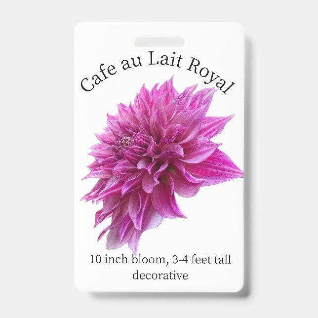 Cafe au Lait Royal Dahlia ID Badge (Front)