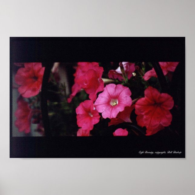 Cafe Beauty Poster (Front)