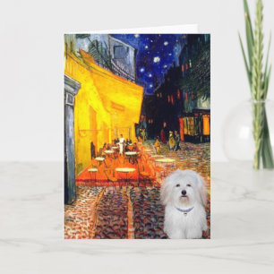Cafe - Coton de Tulear 4b Card
