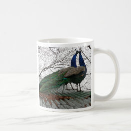 CAFÉ MUG AVEC PEACOCK IMAGE