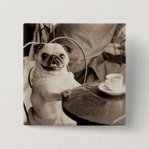 Cafe Pug 2 Inch Square Button