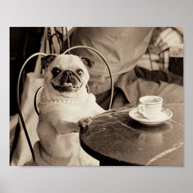 Cafe Pug Poster (Front)