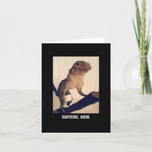 Caffeine.  Now. Card
