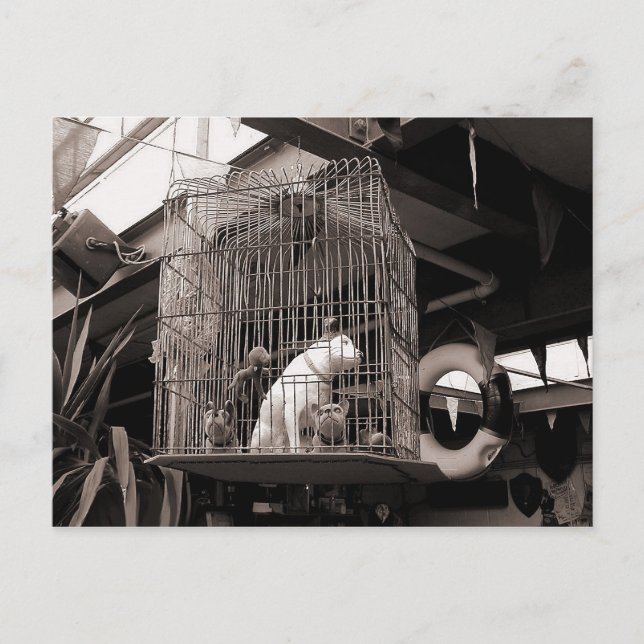 Caged Beasts Postcard (Front)