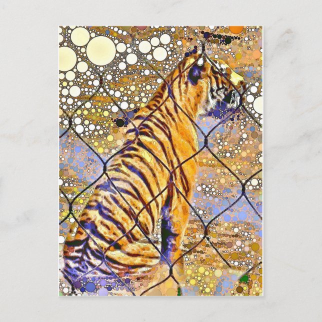 Caged Tiger Art Postcard (Front)