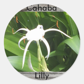 Cahaba lilly bloom sticker