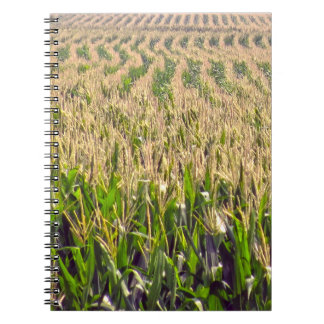 Cahier à reliure spirale Lignes sans fin de maïs